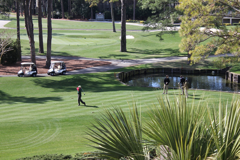 Mark Hosker playing Golf