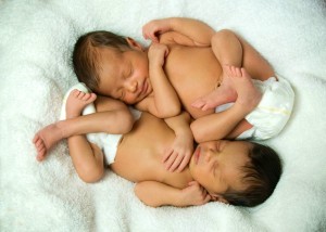 photo-10-300x214
